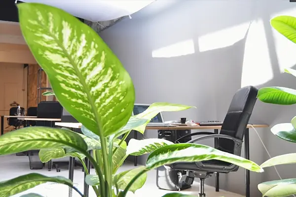 Land Porto Coworking