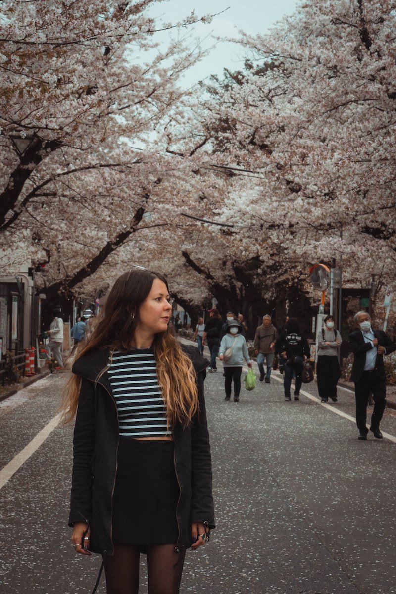 cherry-blossom-after
